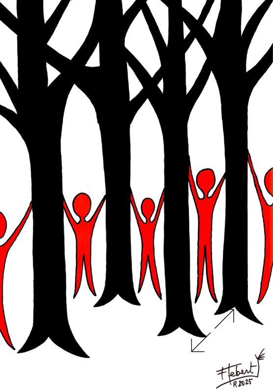 Dessin François Lebert