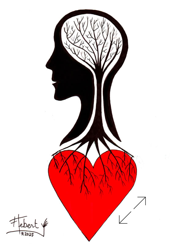 Dessin François Lebert