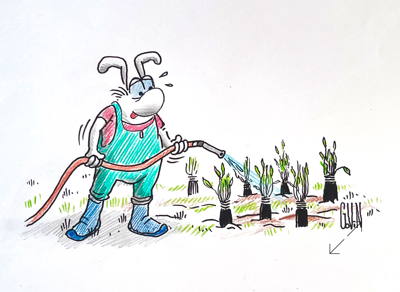 Dessin de Philippe Govin