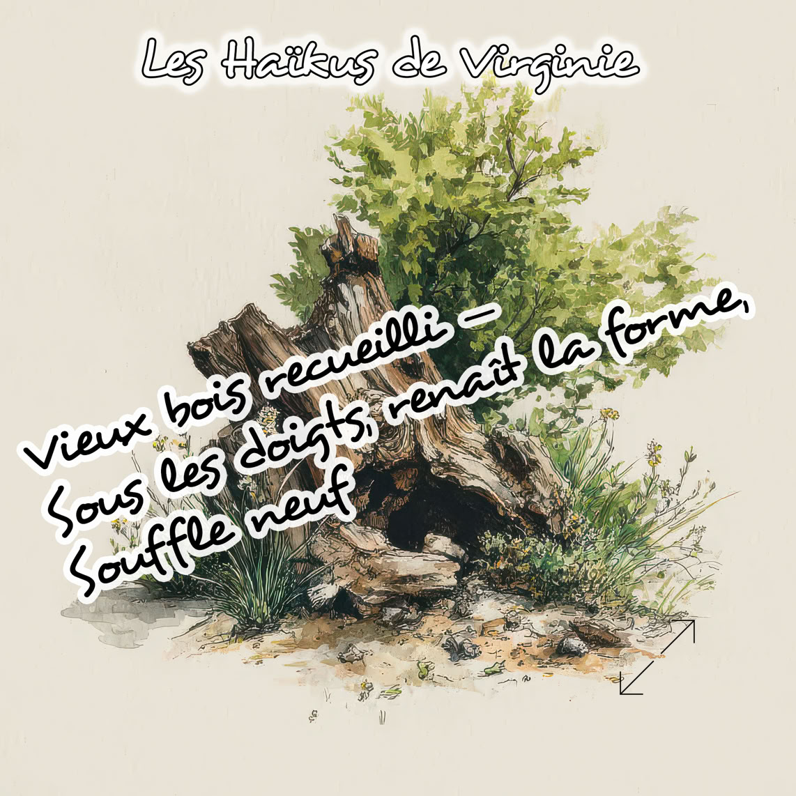 Les ha&iuml;kus de Virginie Dortet