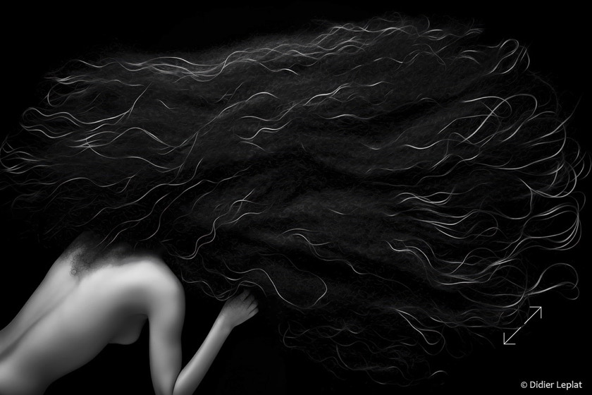 Photo Didier Leplat