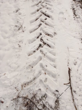 Photo Philippe Belleney