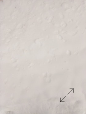 Photo Philippe Belleney