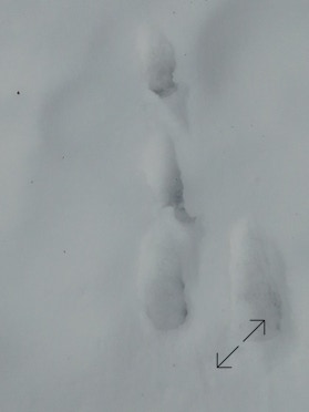 Photo Philippe Belleney