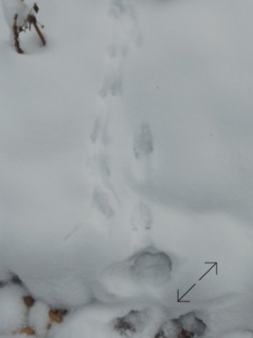 Photo Philippe Belleney