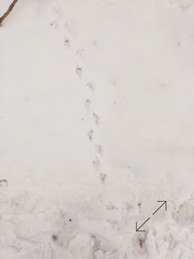 Photo Philippe Belleney