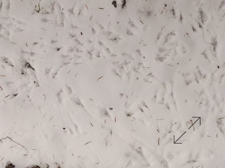 Photo Philippe Belleney