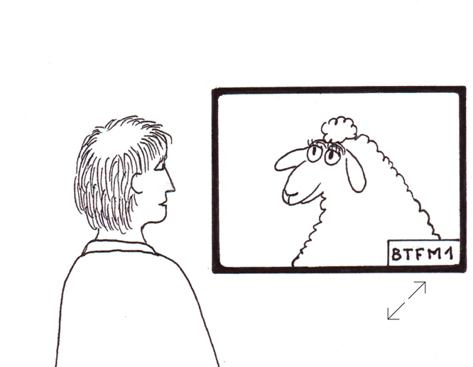 Dessin François Lebert