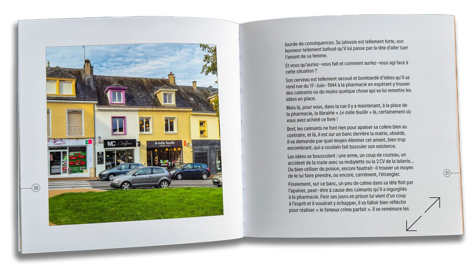 Les 2 hêtres de la Vallée Biquet - Photo Didier Leplat