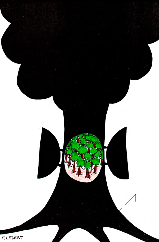 Dessin François Lebert